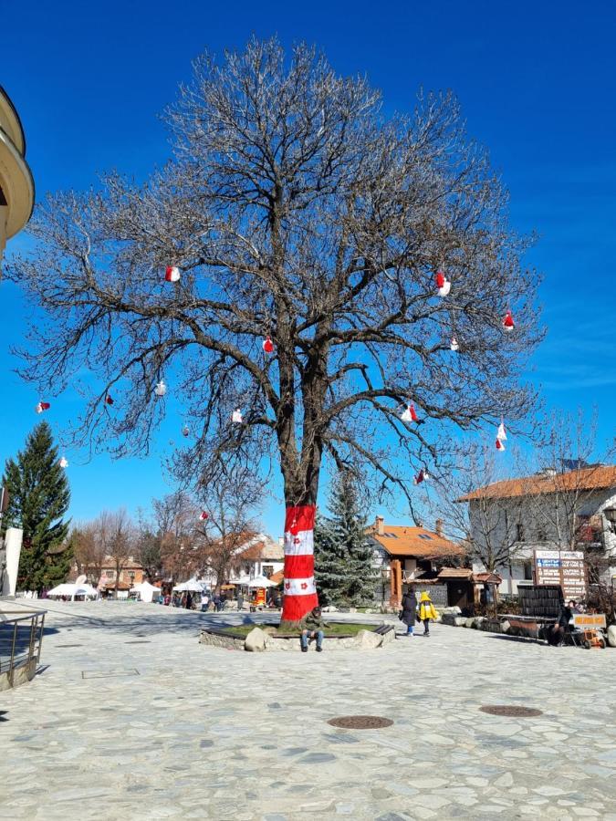 G-Apartment, New Inn, 2-Rooms Bansko Bagian luar foto