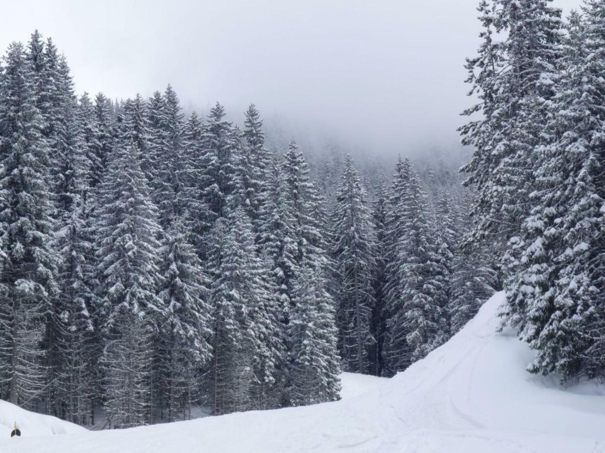 G-Apartment, New Inn, 2-Rooms Bansko Bagian luar foto